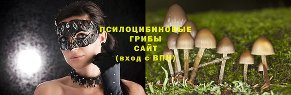 гидра Бородино