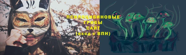 гидра Бородино
