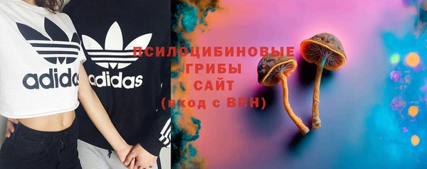 гидра Бородино