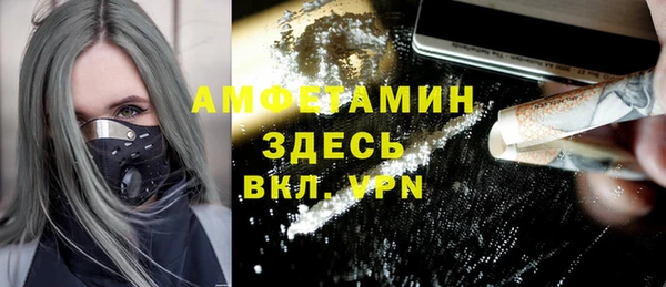 гидра Бородино