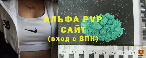 гидра Бородино