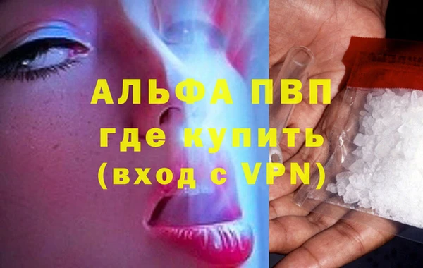 гидра Бородино
