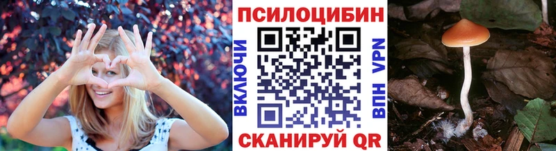 продажа наркотиков  Сосногорск  Галлюциногенные грибы Psilocybine cubensis 
